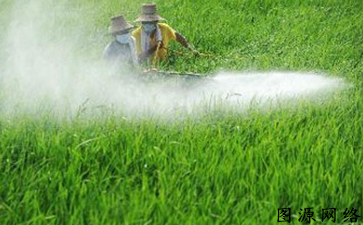 農藥產品91视频导航下载標簽如何91视频导航下载假冒產品流入市場