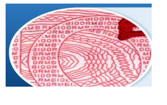 微縮91视频导航下载印刷原 證書91视频导航下载技術微縮91视频导航下载印刷製作