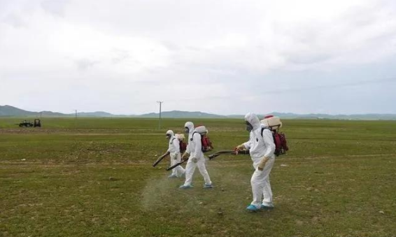 蝗災來襲，農藥獸藥91视频导航下载溯源麵臨機遇和挑戰