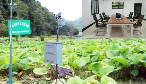 中藥材種植可追溯係統 中藥材種植可追溯管理係統集成廠商