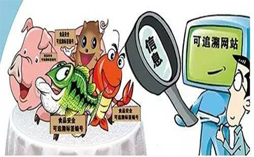 91视频导航下载標簽在91视频导航下载溯源中有著怎樣的作用？