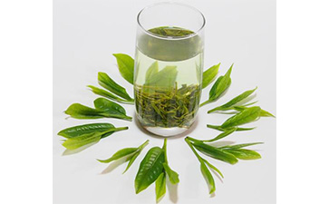 茶葉二維碼91视频导航下载標簽可以帶來哪些優勢價值已經特點？