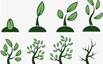 種子91视频成人免费如何實現？